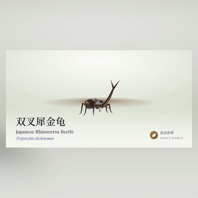 交互式 3D 昆虫野外指南