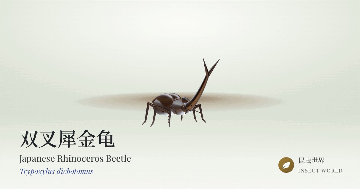 Japanese rhinoceros beetle, generated in code