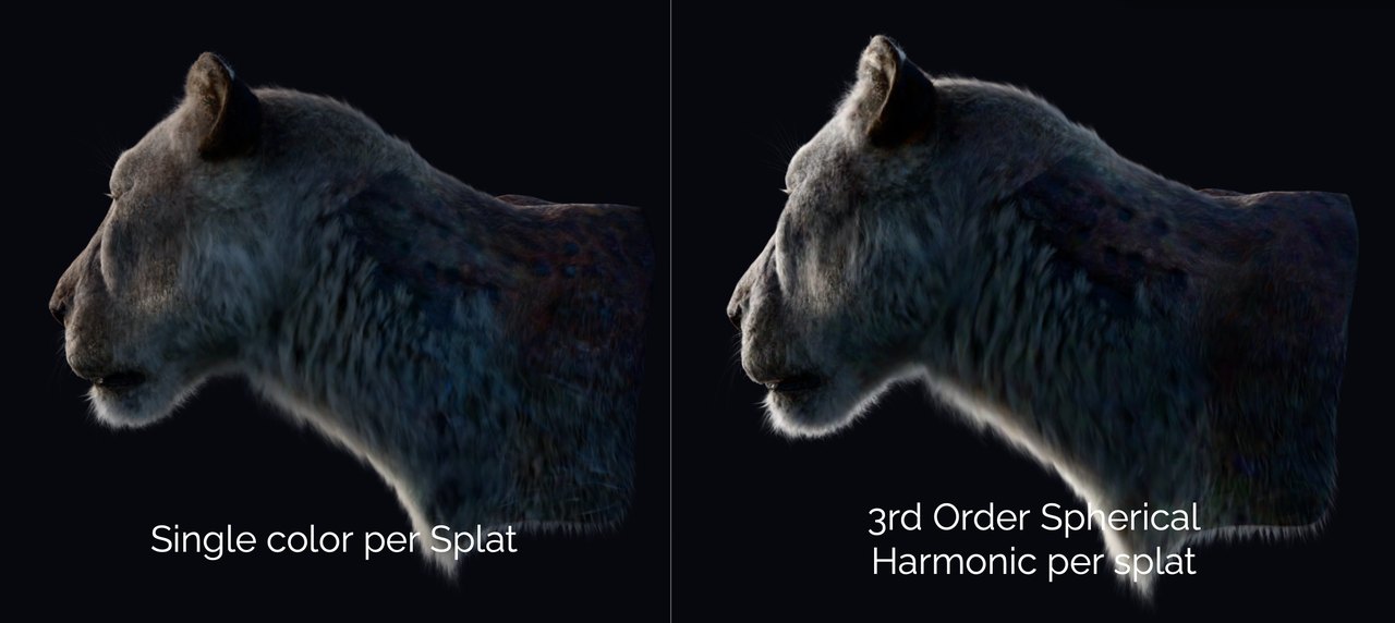 lion-view-dependent-comparison