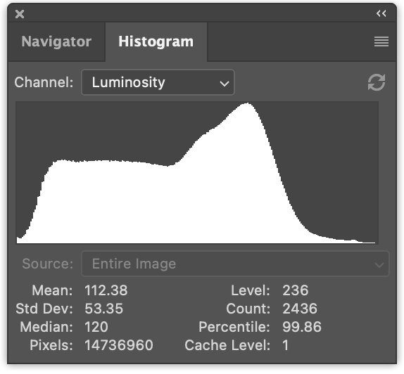 WebGPU Compute Shaders - Image Histogram