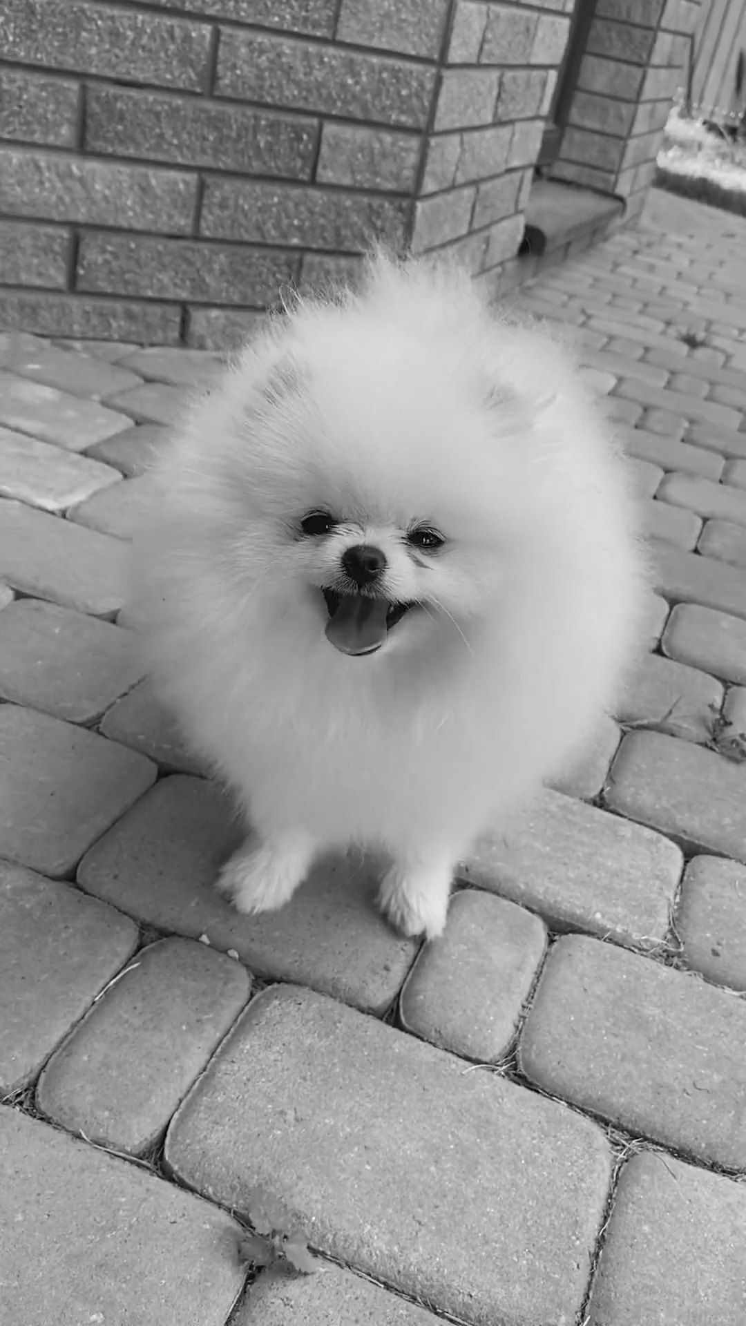 Why texture_external?