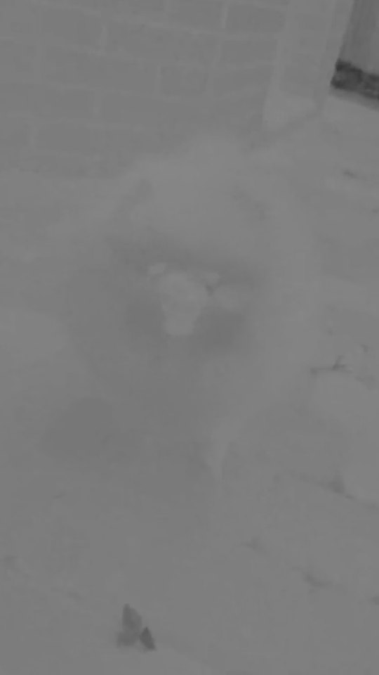 Why texture_external?